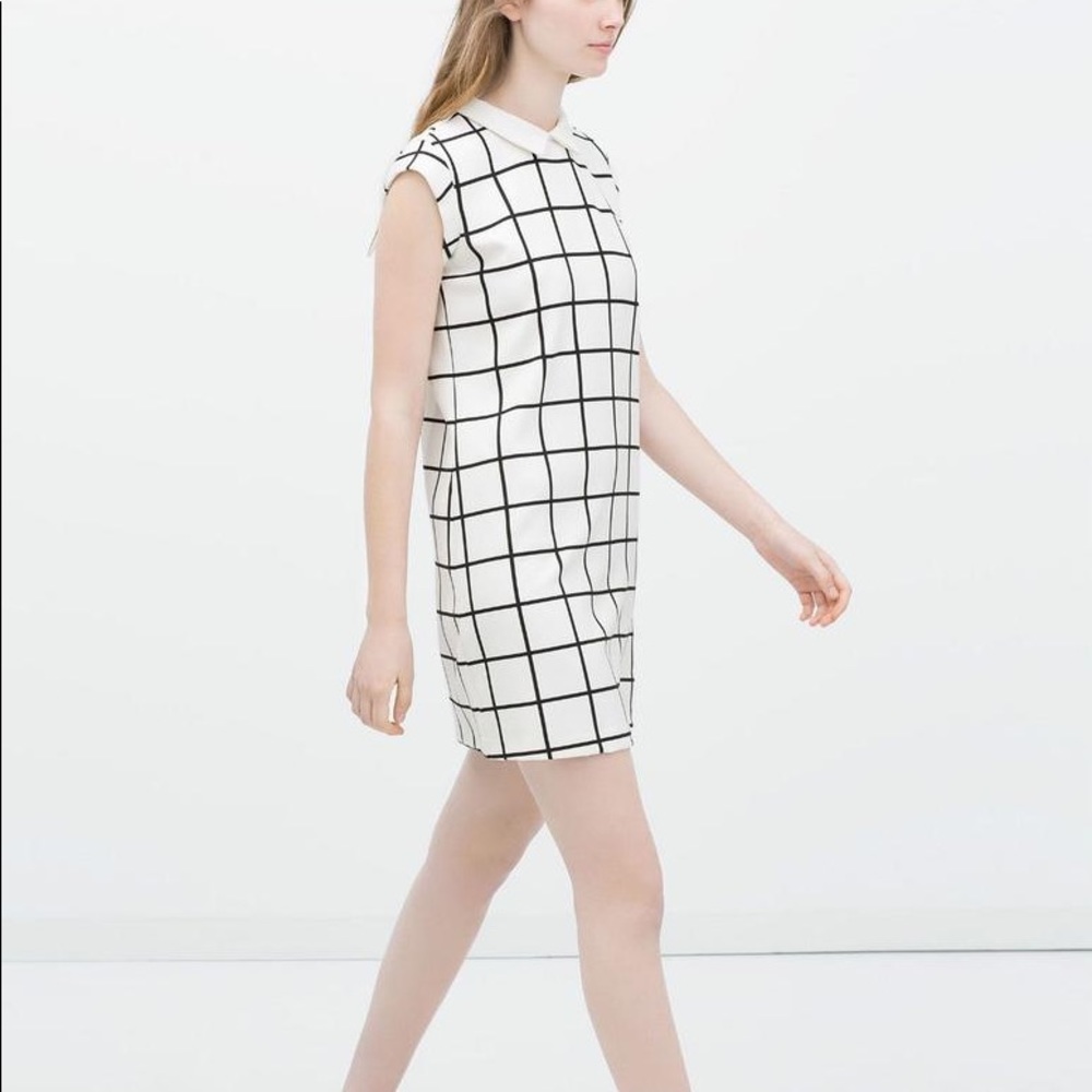 Gorgeous windowpane dress with collar from ZARA